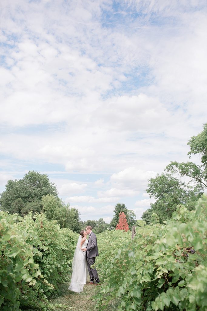bride and groom in a vineyard
