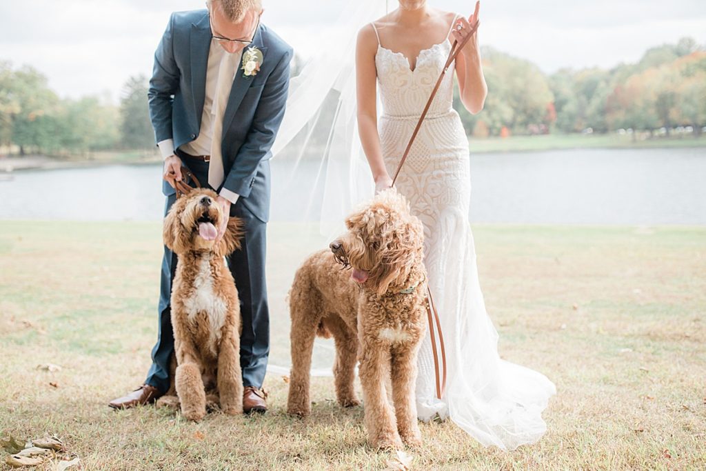 bride and groom golden doodle puppy portraits