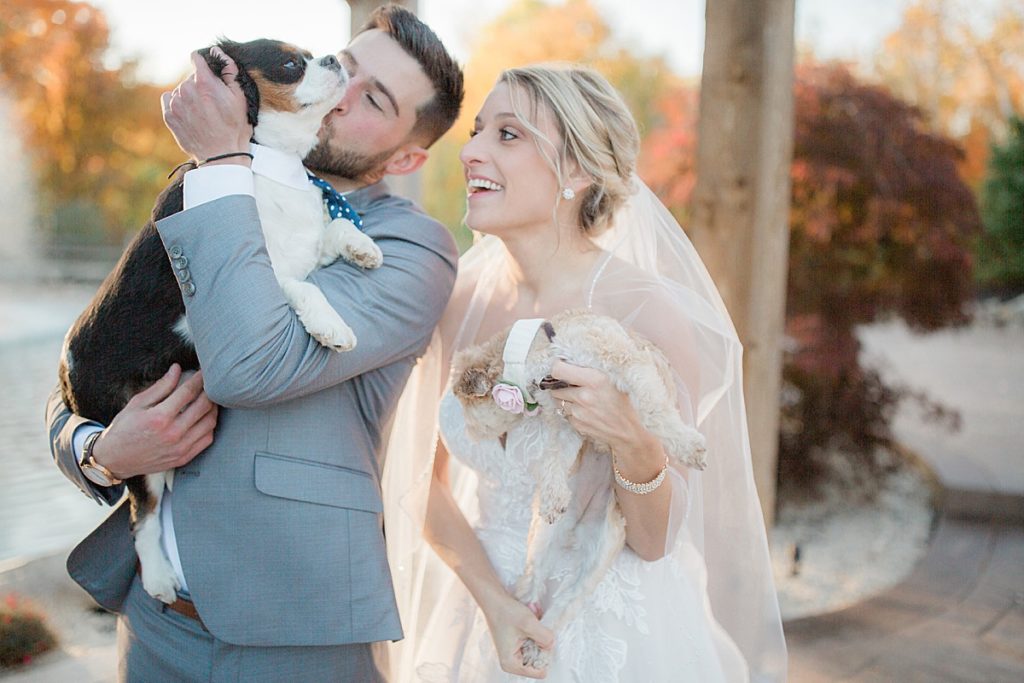 bride and groom with their puppies
