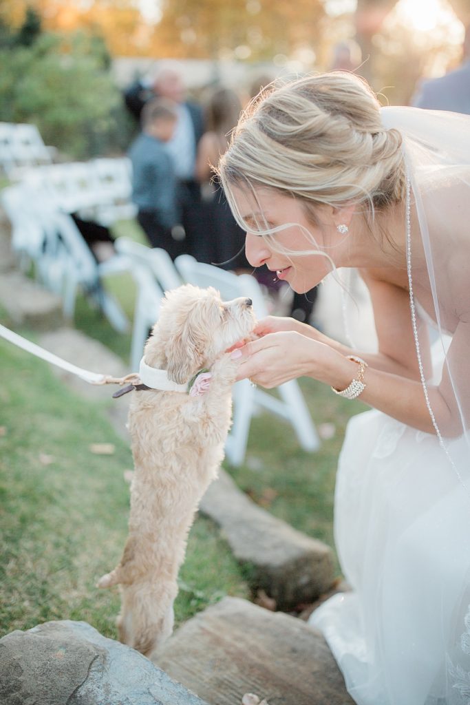 bride playing with her dog