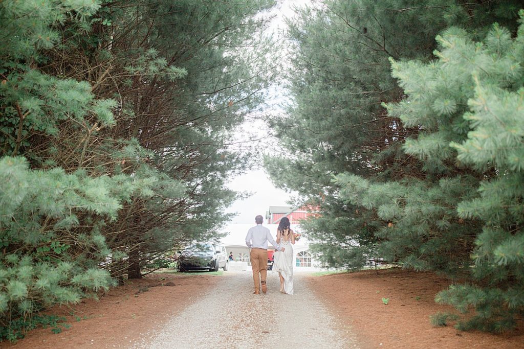 far shot of bride and groom walking inbetween trees to the reception