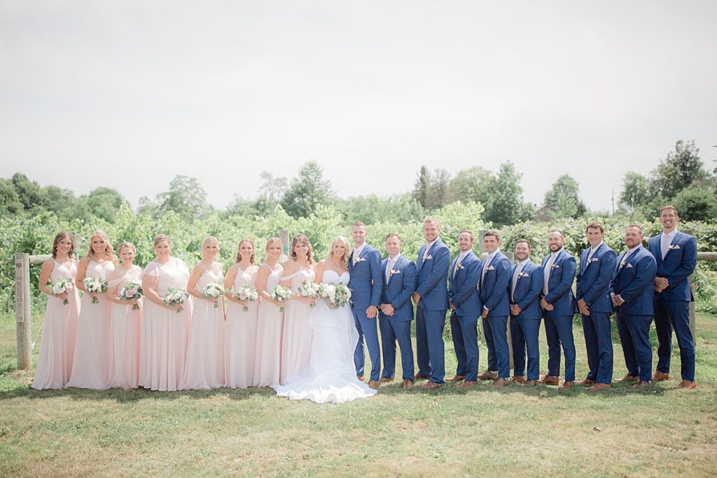 formal image of the bridal party in front of the vineyard