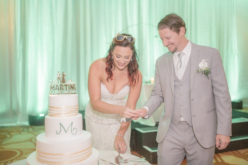 Wedding Reception Candids Cake Cutting